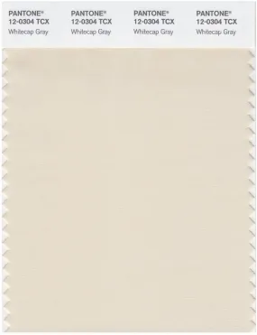 Pantone Smart 12-0304 TCX Color Swatch Card | Whitecap Gray