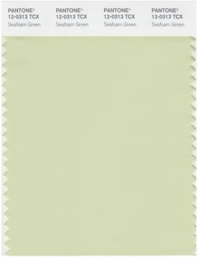 Pantone Smart 12-0313 TCX Color Swatch Card | Seafoam Green