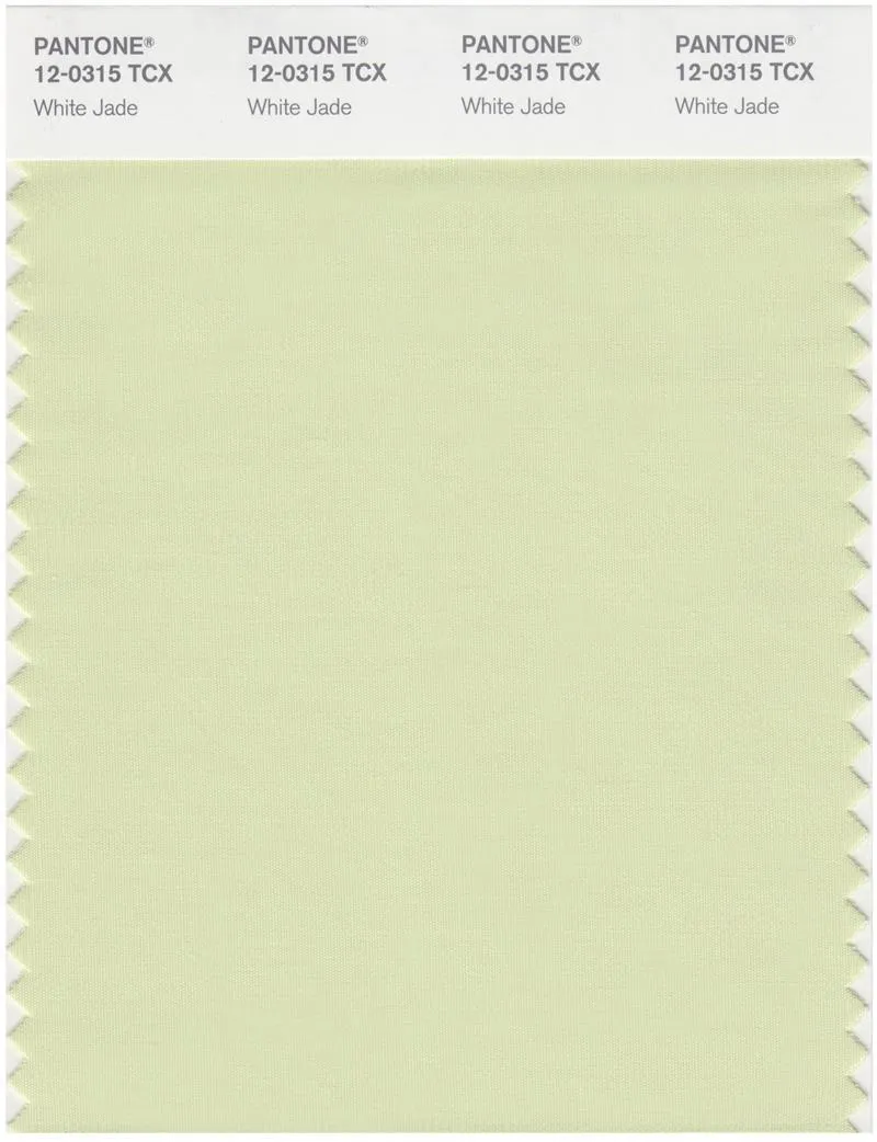 Pantone Smart 12-0315 TCX Color Swatch Card | White Jade