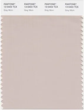 Pantone Smart 13-0403 TCX Color Swatch Card | Gray Morn