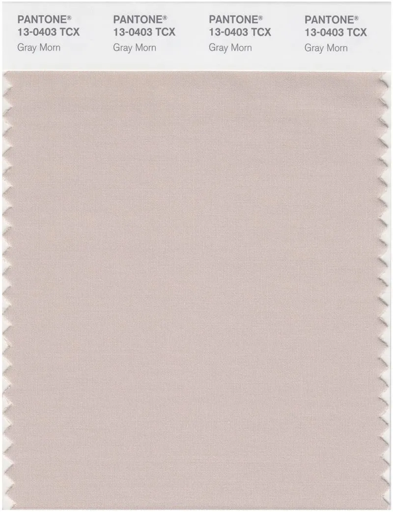 Pantone Smart 13-0403 TCX Color Swatch Card | Gray Morn