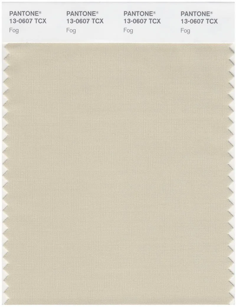 Pantone Smart 13-0607 TCX Color Swatch Card | Fog
