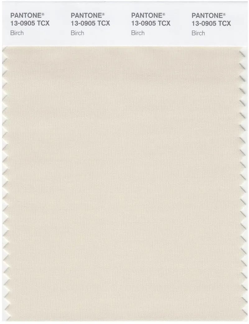 Pantone Smart 13-0905 TCX Color Swatch Card | Birch