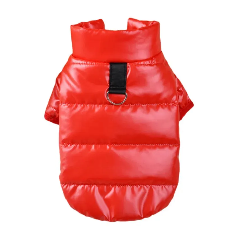 Pat and Pet Emporium | Pet Clothing | Waterproof Dog Jackets