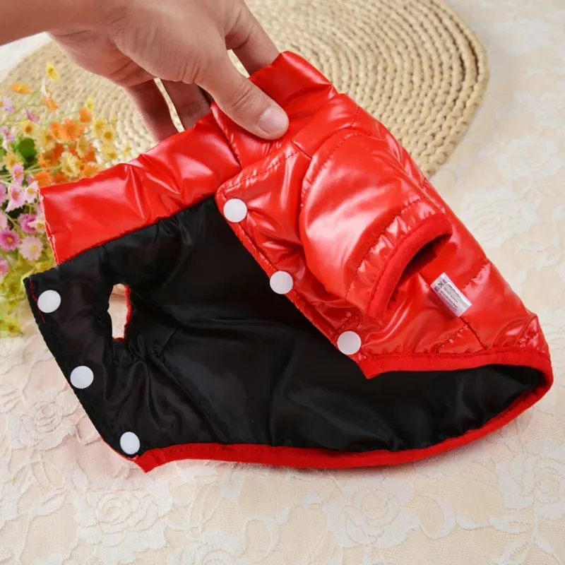 Pat and Pet Emporium | Pet Clothing | Waterproof Dog Jackets