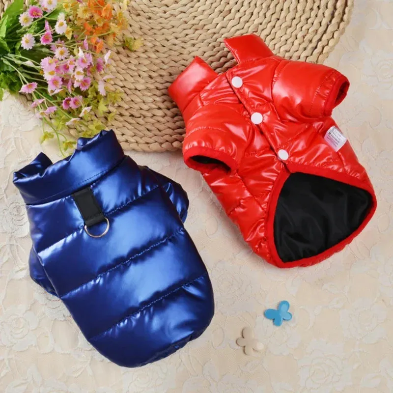 Pat and Pet Emporium | Pet Clothing | Waterproof Dog Jackets