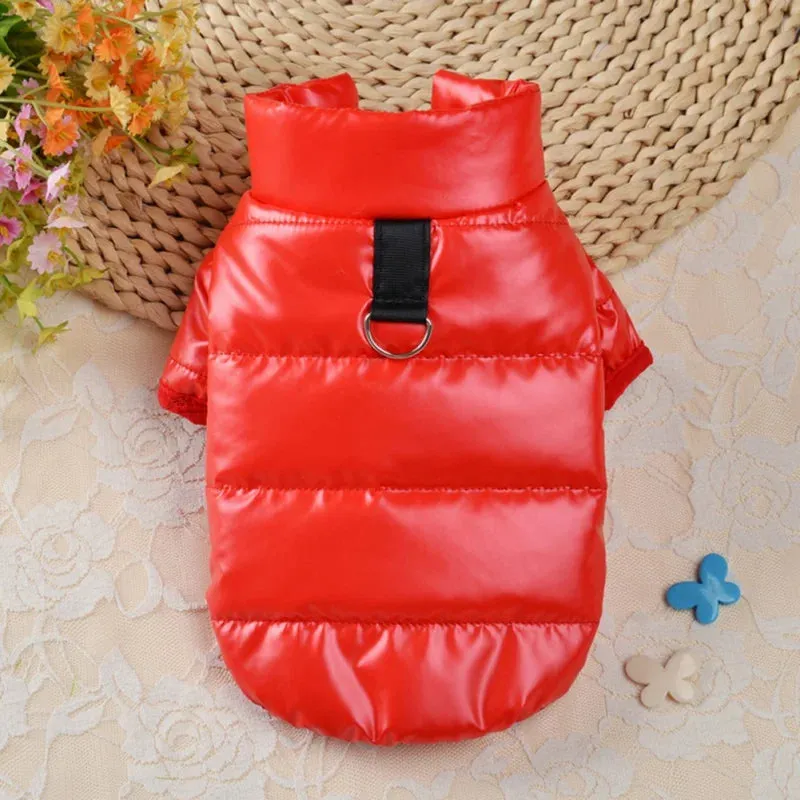 Pat and Pet Emporium | Pet Clothing | Waterproof Dog Jackets