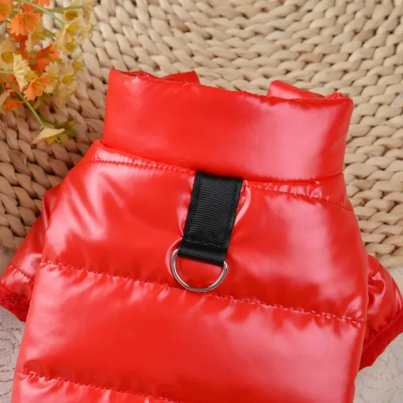 Pat and Pet Emporium | Pet Clothing | Waterproof Dog Jackets