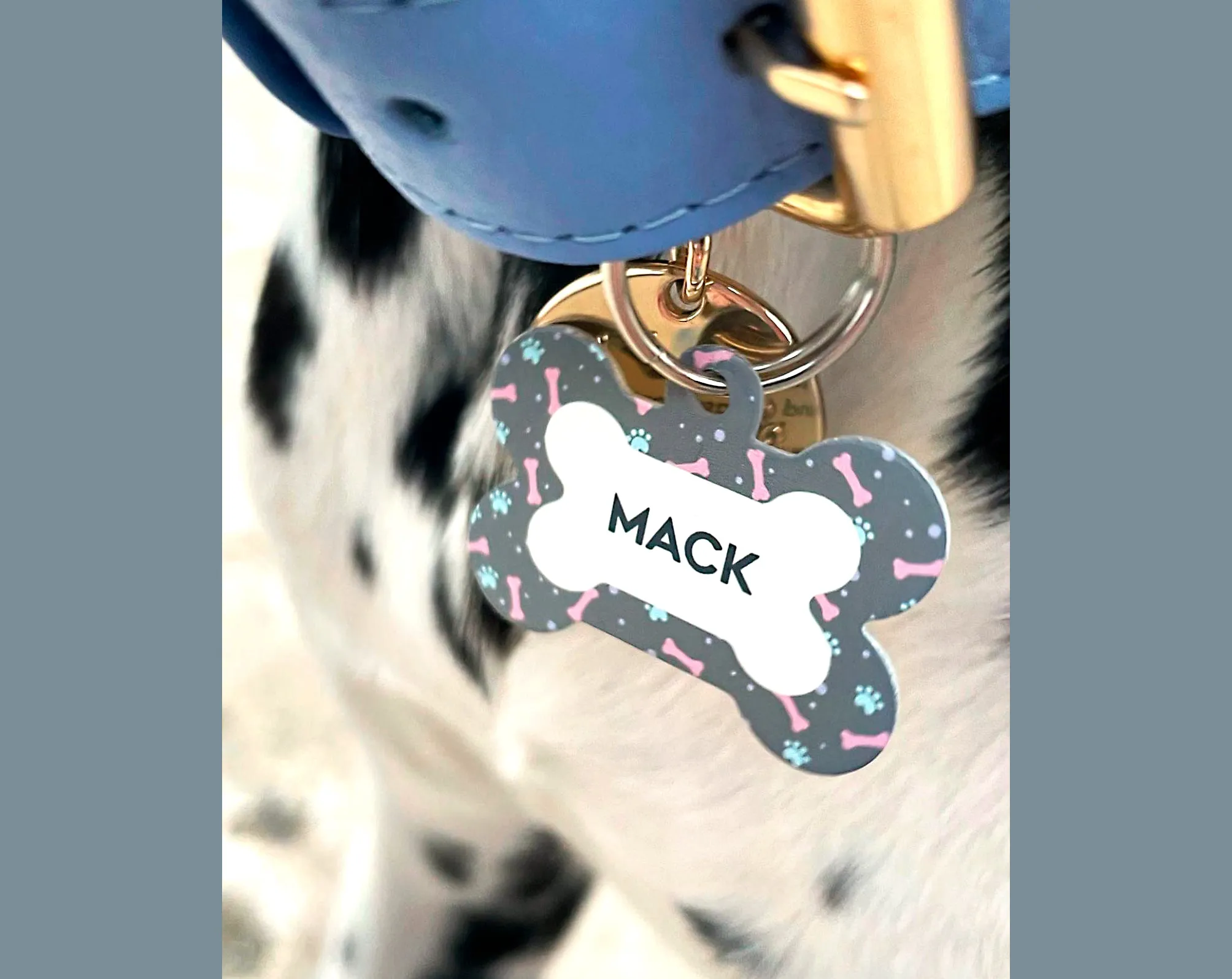 Personalised Retro Pastel Pet Name ID Tag