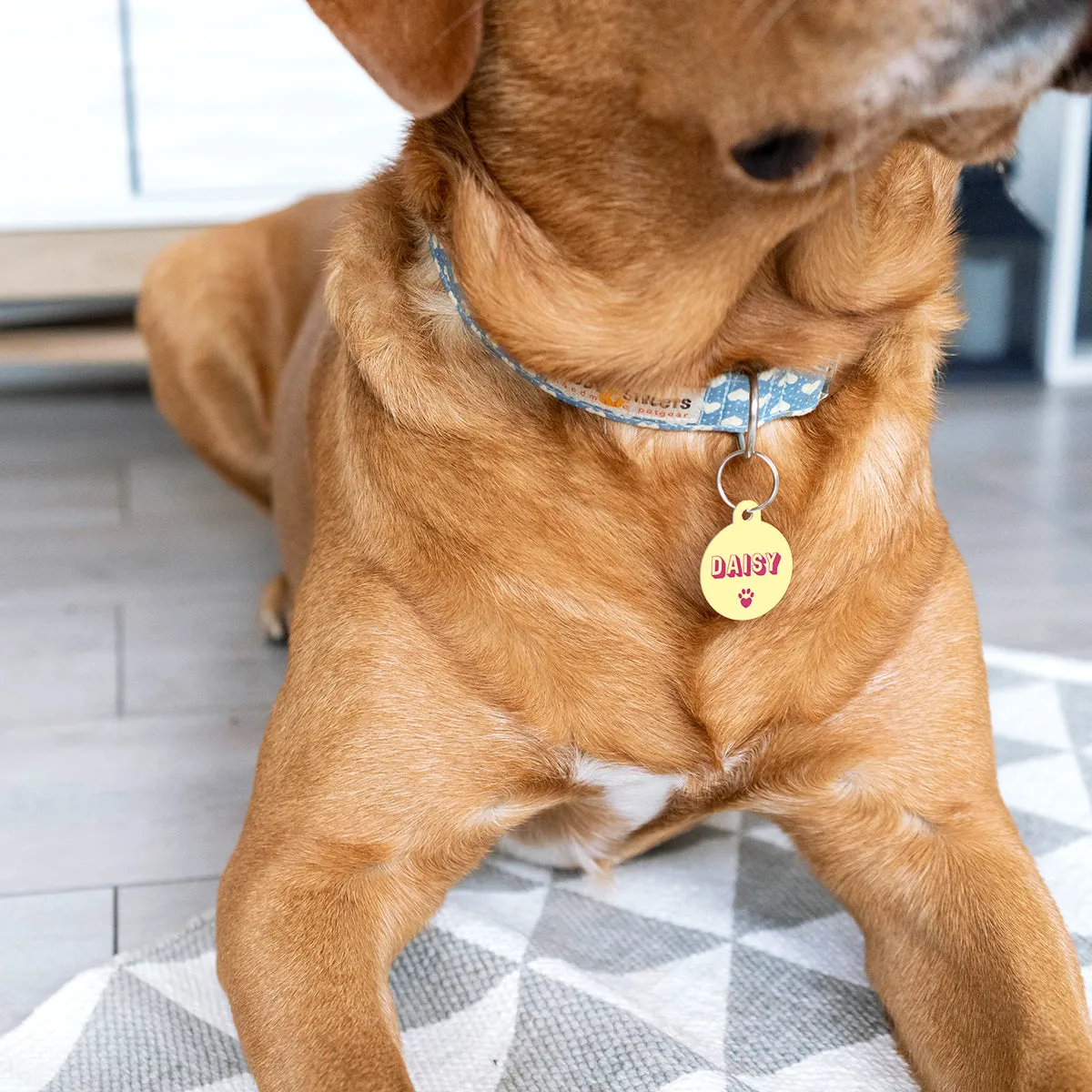 Personalised Retro Pastel Pet Name ID Tag