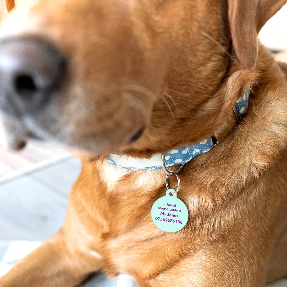 Personalised Retro Pastel Pet Name ID Tag