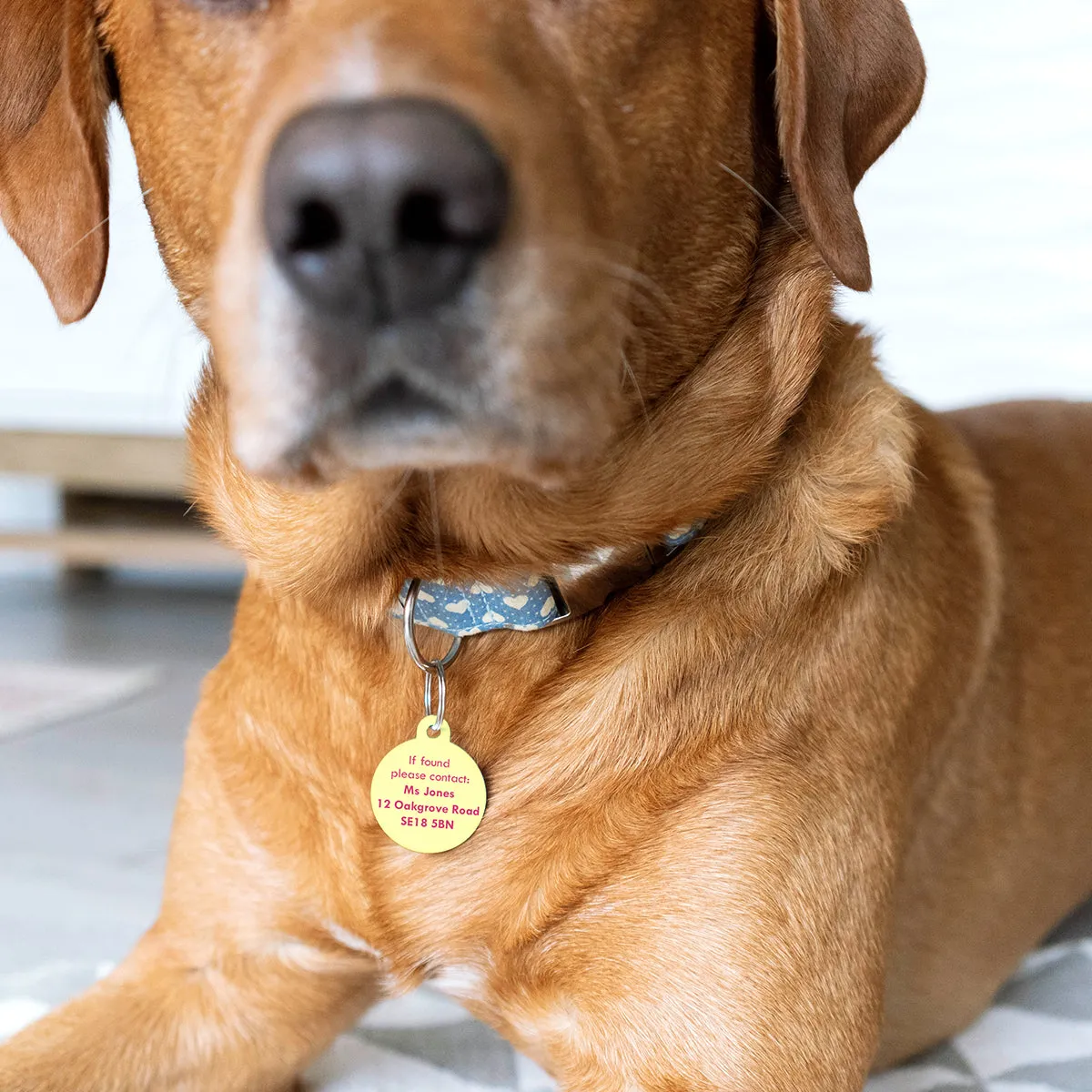 Personalised Retro Pastel Pet Name ID Tag