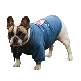 Pet Snugs Popcorn Print Sweatshirt for Dogs (Sky Blue)