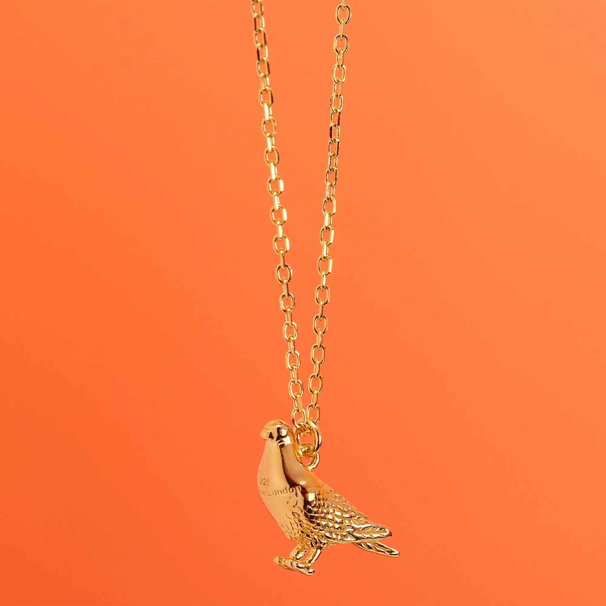 Racing Pigeon Gold Necklace - Personalised
