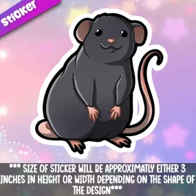 Rat- Black