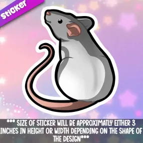 Rat- Grey