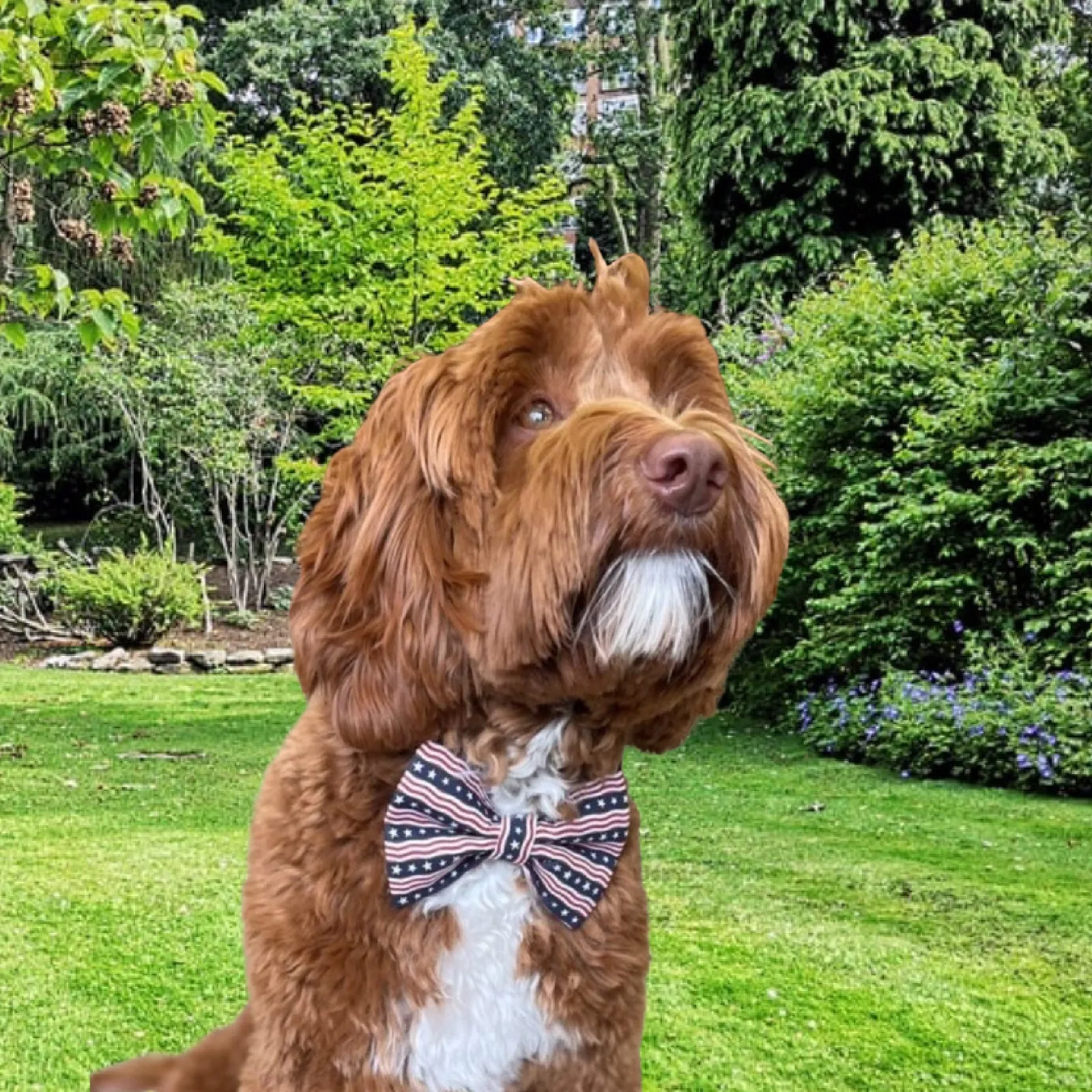 Stars & Stripes Bow Tie, 4th of July, USA Flag, Patriotic