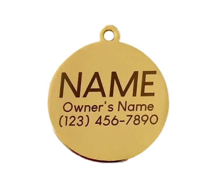 Taco the Town Pet ID Tag
