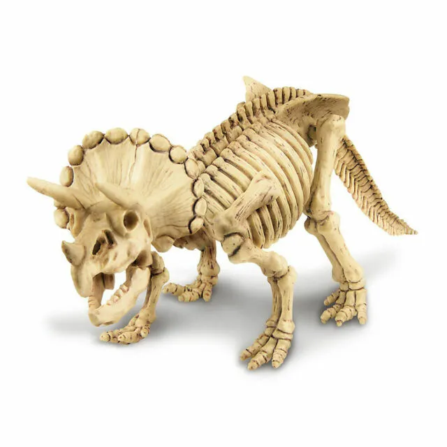 Triceratops Skeleton Excavation Kit