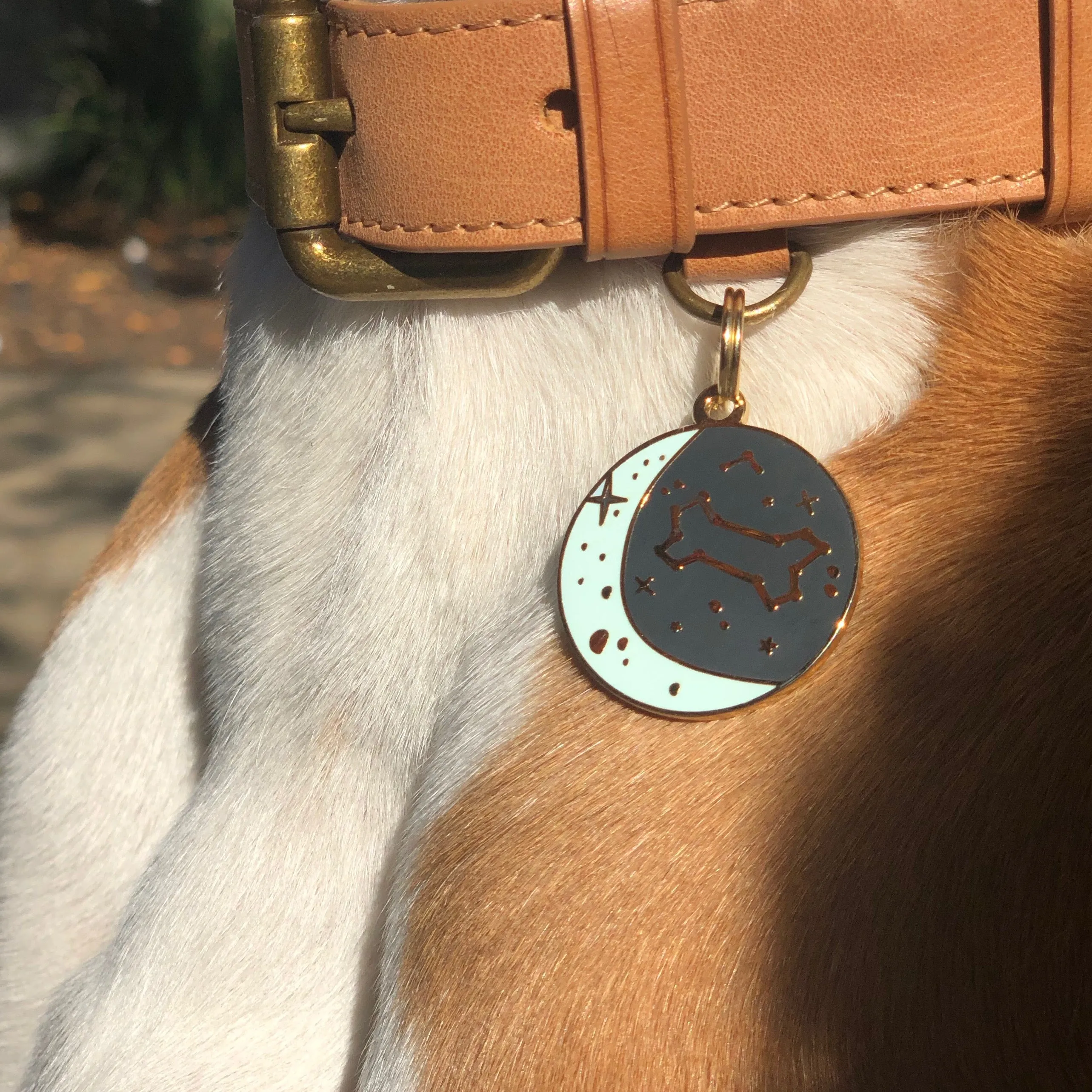 Zodiac ID Tag (Custom)